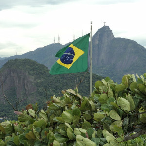brazil flag green flagpole preview