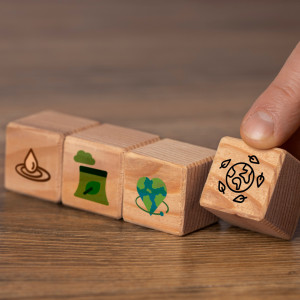 sustainable development goals still life